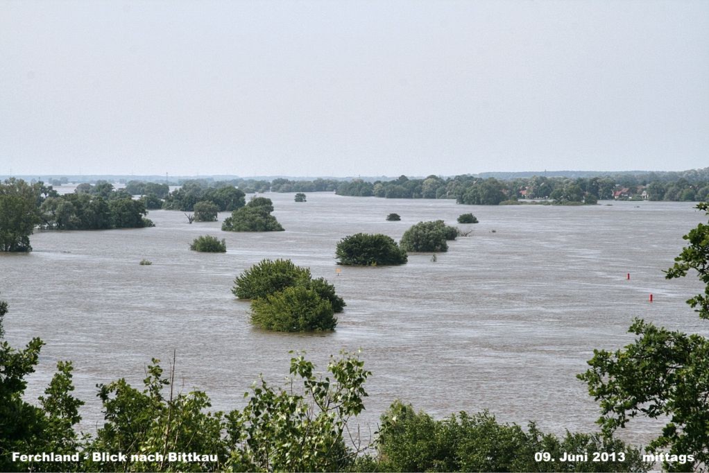 Hochwasser- 2013_06_09-009-Ferchland.jpg